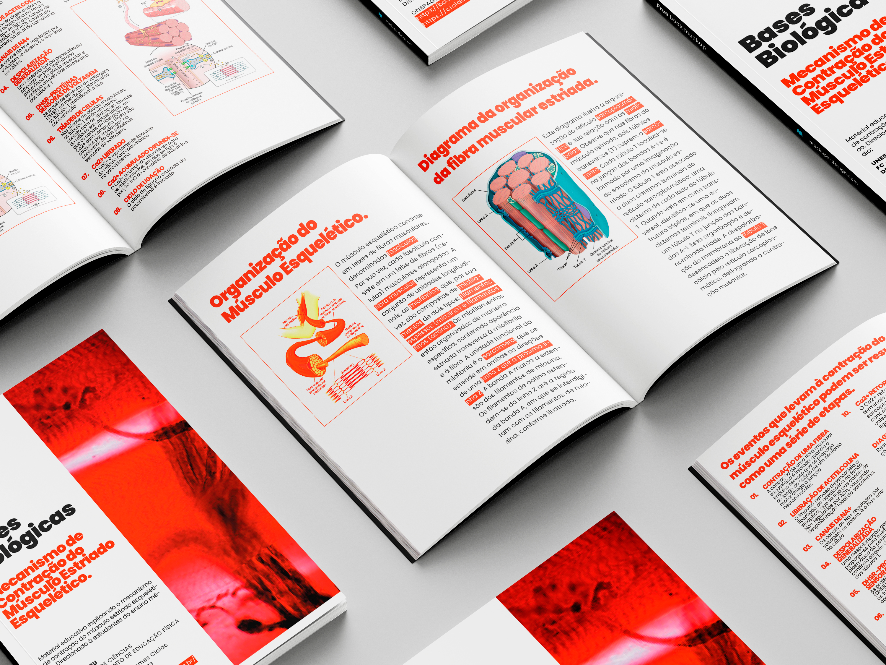 featured project image